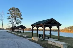 288 Forest Dr, Hemphill, TX 75948 - Photo 39