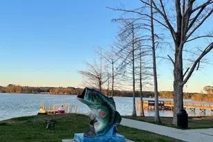 288 Forest Dr, Hemphill, TX 75948 - Photo 33