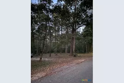 288 Forest Drive, Hemphill, TX 75948 - Photo 5