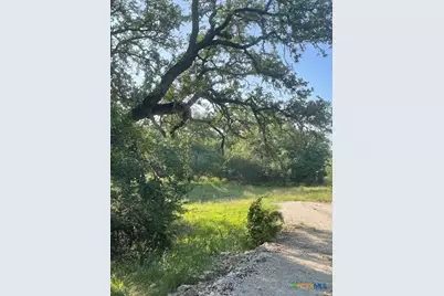 1449 Lavaca, Canyon Lake, TX 78133 - Photo 3