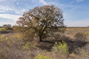 14858 Fm 1322, Luling, TX 78648 - Photo 21