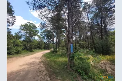 566 Herron Trail, McDade, TX 78650 - Photo 5