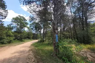 566 Herron Trail, McDade, TX 78650 - Photo 5