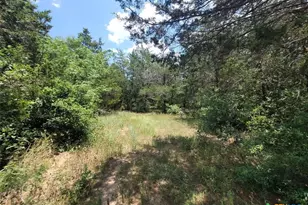 566 Herron Trail, McDade, TX 78650 - Photo 23