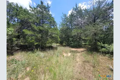 566 Herron Trail, McDade, TX 78650 - Photo 21