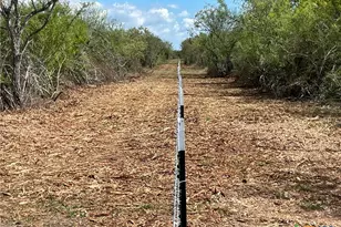 1787 FM446, Victoria, TX 77905 - Photo 5