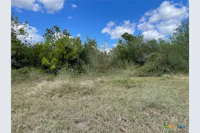 1787 Fm 446, Victoria, TX 77905 - Photo 9