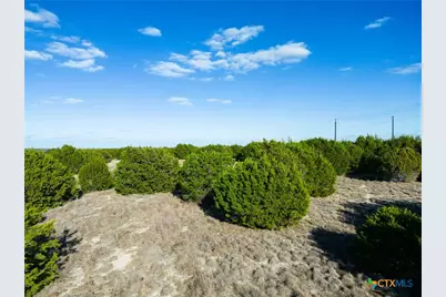 Tbd Lot 136 Cherry Laurel Lane, Lampasas, TX 76550 - Photo 13