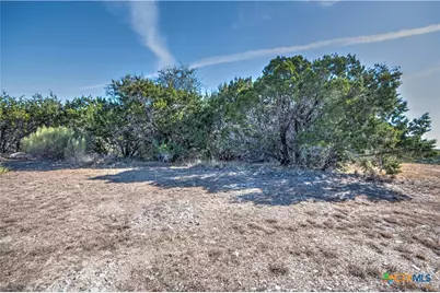 4401 Lucius Lane, Belton, TX 76513 - Photo 15