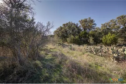 132 Maple Terrace, New Braunfels, TX 78132 - Photo 9