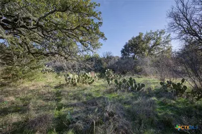 132 Maple Terrace, New Braunfels, TX 78132 - Photo 17