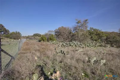 132 Maple Terrace, New Braunfels, TX 78132 - Photo 15