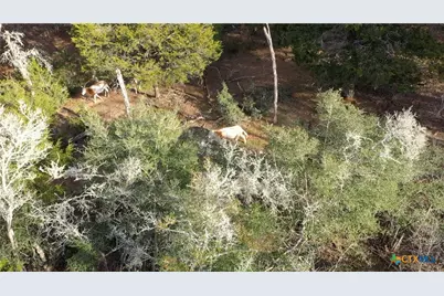 2524 Sandy Fork Road, Harwood, TX 78632 - Photo 33