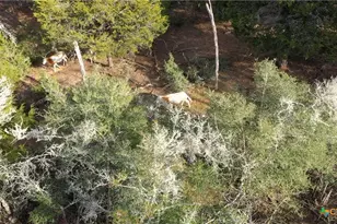 2524 Sandy Fork Rd, Harwood, TX 78632 - Photo 33