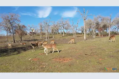 2524 Sandy Fork Road, Harwood, TX 78632 - Photo 23