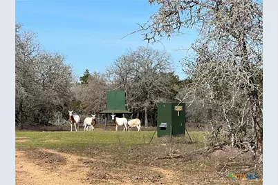 2524 Sandy Fork Road, Harwood, TX 78632 - Photo 19