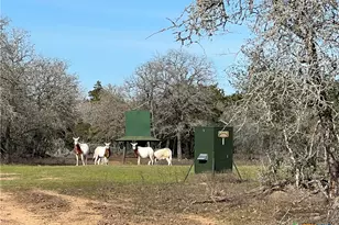 2524 Sandy Fork Rd, Harwood, TX 78632 - Photo 19