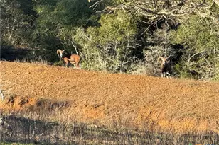 2524 Sandy Fork Rd, Harwood, TX 78632 - Photo 39