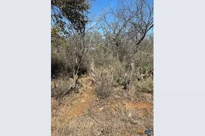 0 Tbd Cedar Drive, Granite Shoals, TX 78654 - Photo 7