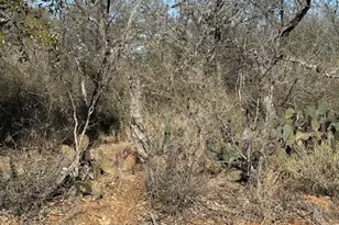 0 Tbd Cedar Dr, Granite Shoals, TX 78654 - Photo 7