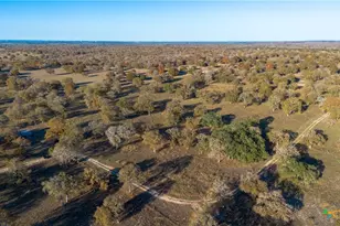 847 Littlehorn Ln, Stockdale, TX 78160 - Photo 43