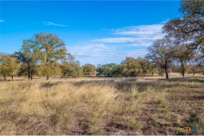 847 Littlehorn Lane, Stockdale, TX 78160 - Photo 9