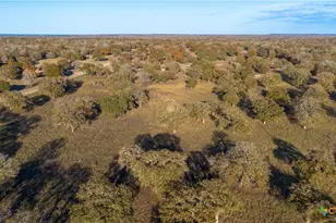 847 Littlehorn Ln, Stockdale, TX 78160 - Photo 41