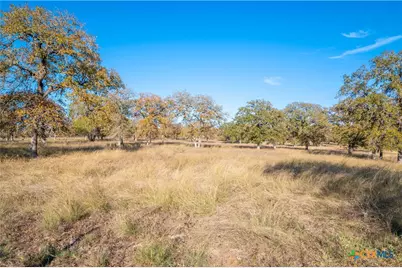 847 Littlehorn Lane, Stockdale, TX 78160 - Photo 31