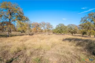 847 Littlehorn Ln, Stockdale, TX 78160 - Photo 31