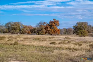 847 Littlehorn Ln, Stockdale, TX 78160 - Photo 13