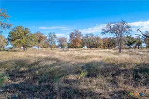 847 Littlehorn Ln, Stockdale, TX 78160 - Photo 17