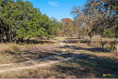 847 Littlehorn Lane, Stockdale, TX 78160 - Photo 5