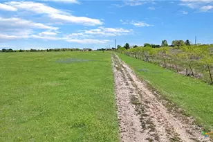 1630 Offermann Hill Rd, San Marcos, TX 78666 - Photo 11