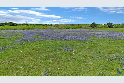 1630 Offermann Hill Road, San Marcos, TX 78666 - Photo 5