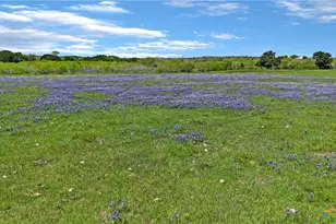 1630 Offermann Hill Rd, San Marcos, TX 78666 - Photo 5