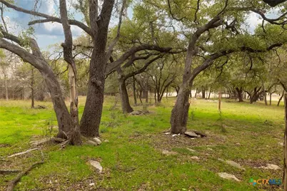 6626 Jim Hogg Drive, Georgetown, TX 78633 - Photo 17