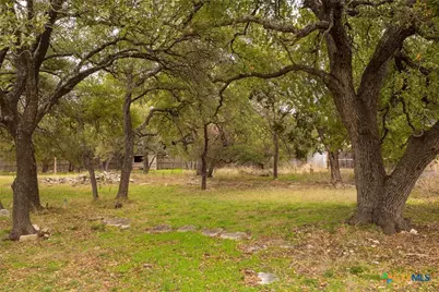 6626 Jim Hogg Drive, Georgetown, TX 78633 - Photo 13