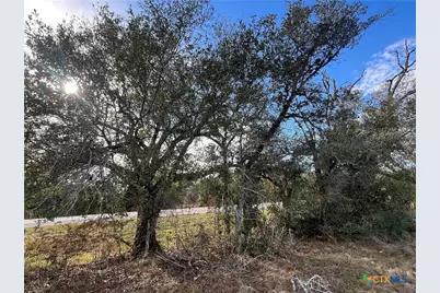 Tbd State Hwy 111 Road, Edna, TX 77957 - Photo 1