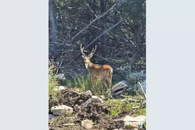 4950 County Road 110, Burnet, TX 78611 - Photo 1