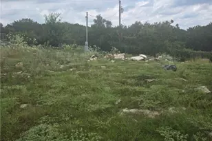 4950 Co Rd 110, Burnet, TX 78611 - Photo 9