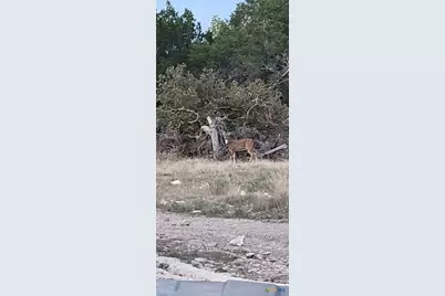 4950 County Road 110, Burnet, TX 78611 - Photo 7