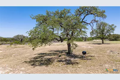 2171 County Road 419, Evant, TX 76525 - Photo 23