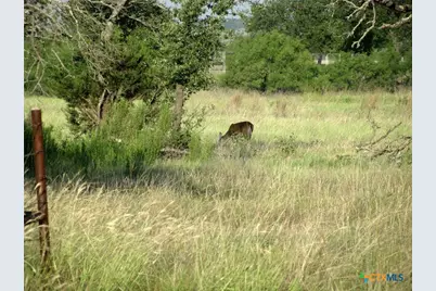 2171 County Road 419, Evant, TX 76525 - Photo 27