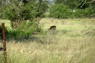 2171 Co Rd 419, Evant, TX 76525 - Photo 27