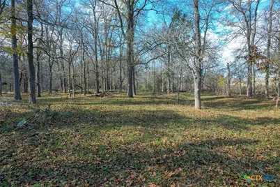 Tract 1 Cr 230 Road, Harwood, TX 78632 - Photo 7
