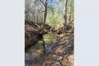 Tract 1 Cr 230 Road, Harwood, TX 78632 - Photo 5