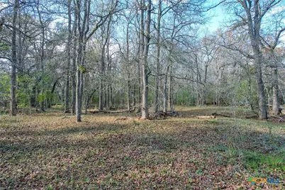 Tract 1 Cr 230 Road, Harwood, TX 78632 - Photo 9