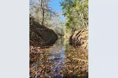 Tract 1 Cr 230 Road, Harwood, TX 78632 - Photo 3