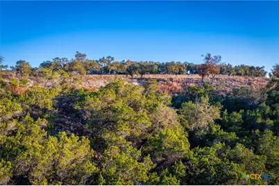 1845 Paradise Parkway, Canyon Lake, TX 78133 - Photo 5