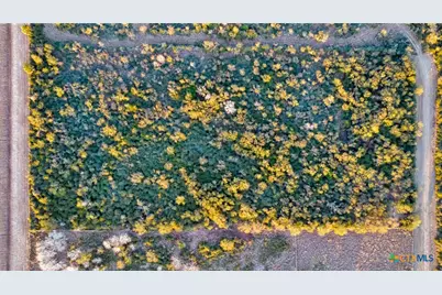 000 Rabbit Run Road, Victoria, TX 77905 - Photo 11